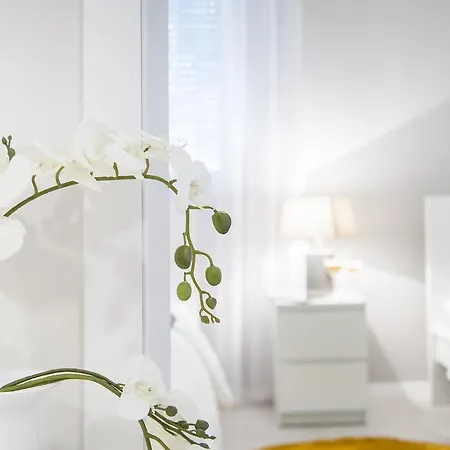 Deja Views - Znjan Apartament